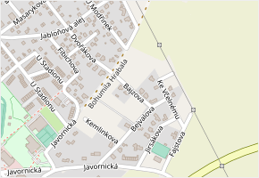 Bajzova v obci Rychnov nad Kněžnou - mapa ulice