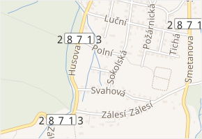 Březová v obci Rychnov u Jablonce nad Nisou - mapa ulice