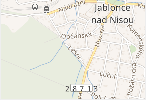 Lesní v obci Rychnov u Jablonce nad Nisou - mapa ulice