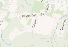 Lesní v obci Rychvald - mapa ulice