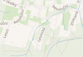 Lesnická v obci Rychvald - mapa ulice