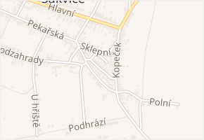 Bednářská v obci Šakvice - mapa ulice