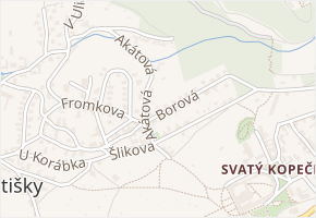 Borová v obci Samotišky - mapa ulice