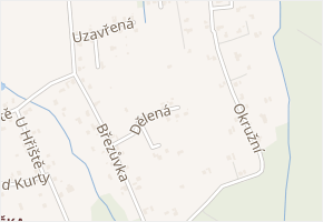 Dělená v obci Šenov - mapa ulice