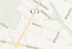 Místní v obci Šenov - mapa ulice