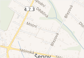Nad Olšinou v obci Šenov - mapa ulice