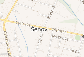 Světlá v obci Šenov - mapa ulice
