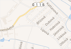 Lipová v obci Šestajovice - mapa ulice