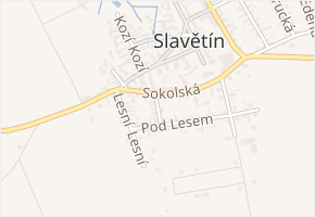 Jiřího Wolkera v obci Slavětín - mapa ulice