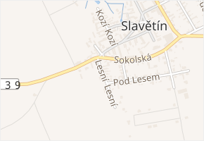 Lesní v obci Slavětín - mapa ulice