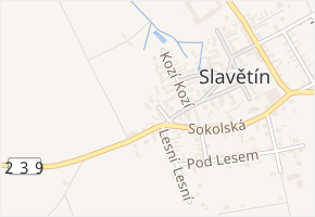 Smetanova v obci Slavětín - mapa ulice
