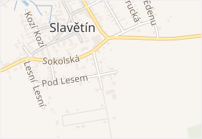 V Ořechách v obci Slavětín - mapa ulice