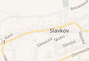Ludvíka Svobody v obci Slavkov - mapa ulice