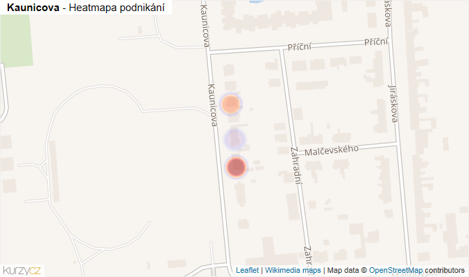 Mapa Kaunicova - Firmy v ulici.