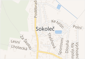 Lesní v obci Sokoleč - mapa ulice