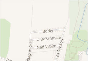 Borky v obci Sokolnice - mapa ulice