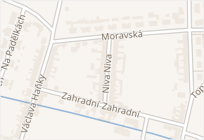 Niva v obci Sokolnice - mapa ulice