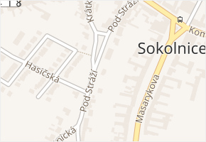 Pod Stráží v obci Sokolnice - mapa ulice