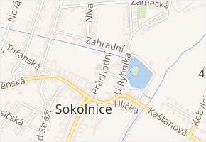 Průchodní v obci Sokolnice - mapa ulice