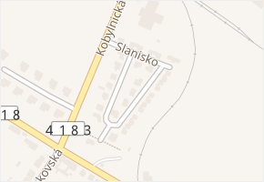 Slanisko v obci Sokolnice - mapa ulice
