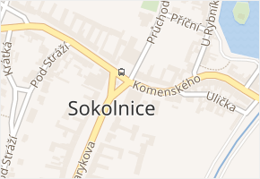 Sokolnice v obci Sokolnice - mapa části obce