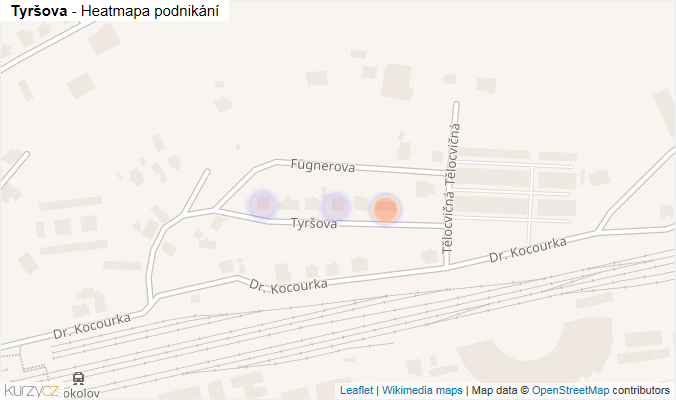 Mapa Tyršova - Firmy v ulici.