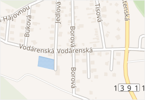Borová v obci Strakonice - mapa ulice