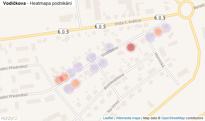 Mapa Vodičkova - Firmy v ulici.