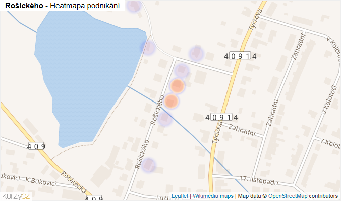 Mapa Rošického - Firmy v ulici.