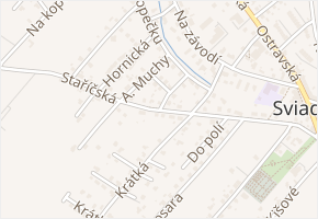 Staříčská v obci Sviadnov - mapa ulice