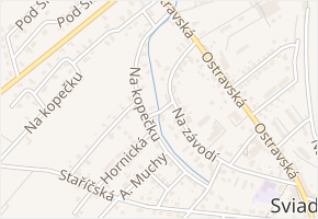 Svážná v obci Sviadnov - mapa ulice