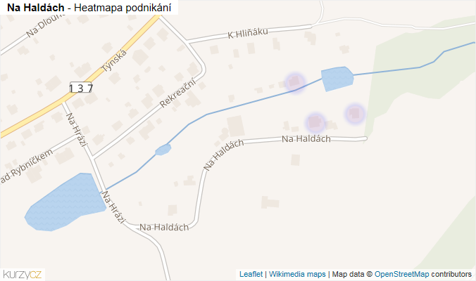 Mapa Na Haldách - Firmy v ulici.