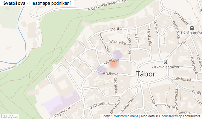Mapa Svatošova - Firmy v ulici.