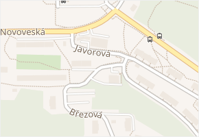 Březová v obci Teplice - mapa ulice