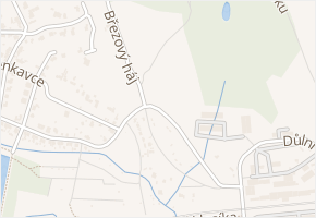 Březový háj v obci Teplice - mapa ulice