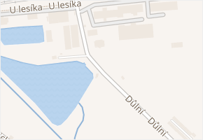 Důlní v obci Teplice - mapa ulice
