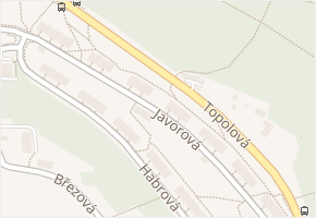 Javorová v obci Teplice - mapa ulice
