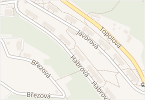 Nová Ves v obci Teplice - mapa části obce