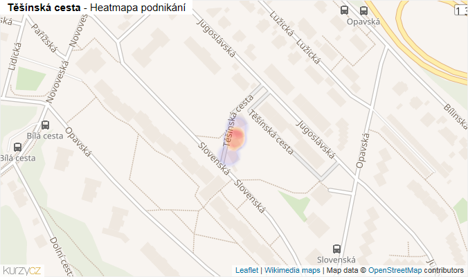 Mapa Těšínská cesta - Firmy v ulici.