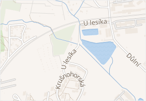 U lesíka v obci Teplice - mapa ulice