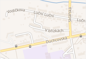 V břízkách v obci Teplice - mapa ulice