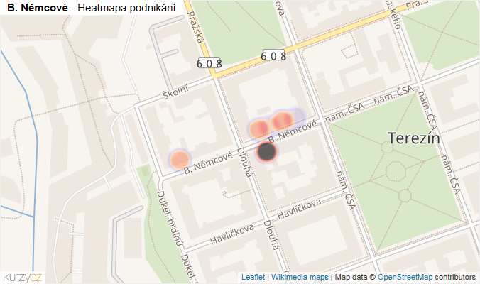 Mapa B. Němcové - Firmy v ulici.