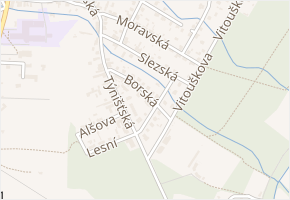 Borská v obci Třebechovice pod Orebem - mapa ulice
