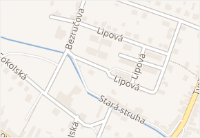Lipová v obci Třebenice - mapa ulice