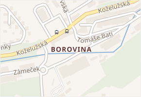 Borovina v obci Třebíč - mapa části obce