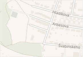 Karoliny Světlé v obci Třebíč - mapa ulice