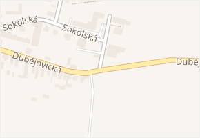 Dubějovická v obci Trhový Štěpánov - mapa ulice