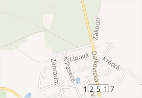 Lesní v obci Trhový Štěpánov - mapa ulice