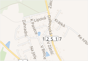 Pod Křížkem v obci Trhový Štěpánov - mapa ulice