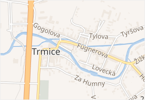 Ke Koňskému trhu v obci Trmice - mapa ulice